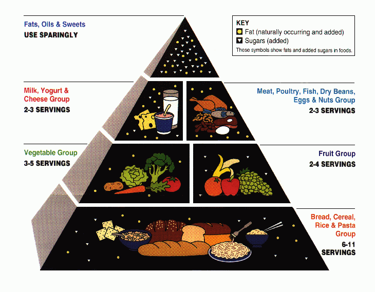 USDA_Food_Pyramid - large